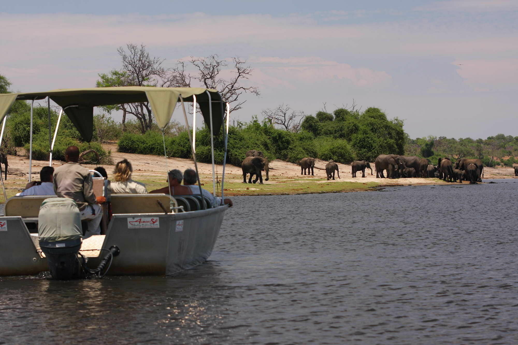 Elephant Valley Lodge Kasane Bagian luar foto