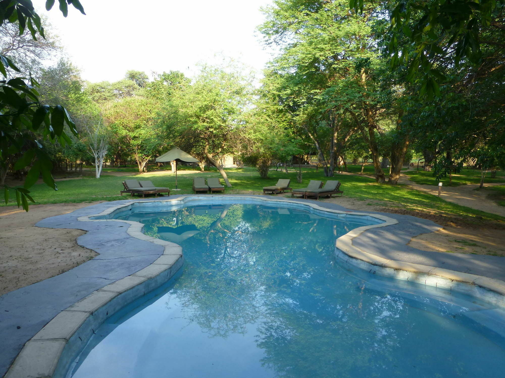 Elephant Valley Lodge Kasane Bagian luar foto